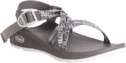 Chaco Women's Z/Cloud X -Best Shoe Store chaco womens z cloud x echo paloma j106608 54061.1647288280
