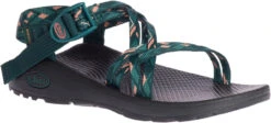 Chaco Women's Z/Cloud X -Best Shoe Store chaco womens z cloud x warren pine jch107986 41418.1647288280