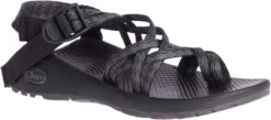 Chaco Women's Z/Cloud X2 -Best Shoe Store chaco womens z cloud x2 limb black jch108002 30908.1647271797