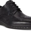 ECCO Men's ST.1 Hybrid Lite Wingtip Brogue 1 ECCO Men's ST.1 Hybrid Lite Wingtip Brogue -Best Shoe Store ecco mens st 1 hybrid lite wingtip brogue black 83720411001 24715.1597881417