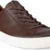 ECCO Men's Street Tray Sneaker -Best Shoe Store ecco mens street tray sneaker cognac 50478401053 08077.1700834514.600.600