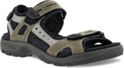 ECCO Men's Yucatan Sandal -Best Shoe Store ecco mens yucatan sandal vetiver wild dove 06956451693 03732.1624471221