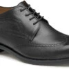 Johnston & Murphy Danridge Wingtip -Best Shoe Store johnston murphy mens danridge wingtip black full grain 15 8017 25549.1664812097