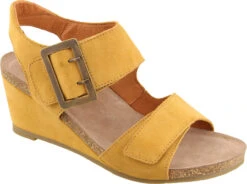 Taos High Society -Best Shoe Store taos womens high society wheat suede his 7220 whes 44262.1585098021